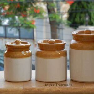 Fresh Pudhina Pickle (Mint Twist)